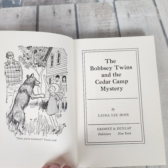 Vintage 60s The Bobbsey Twins Hardcover Novels  Set of 2 - Picture 12 of 16